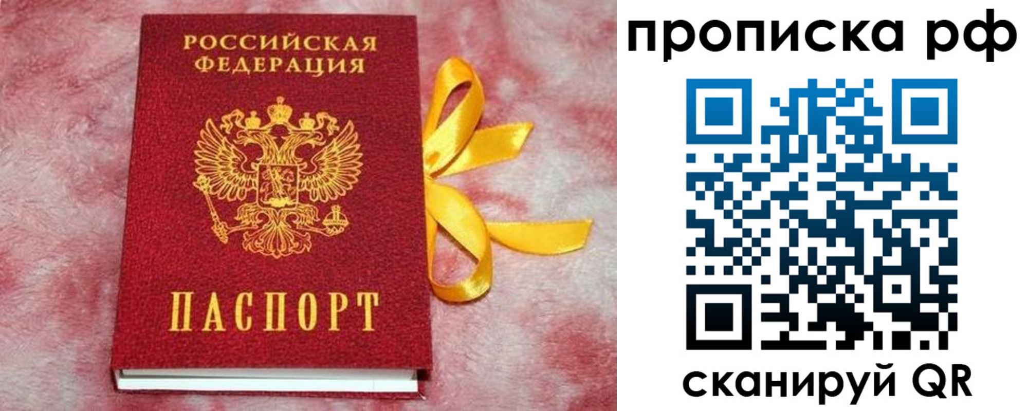 прописка для работы в Елизово